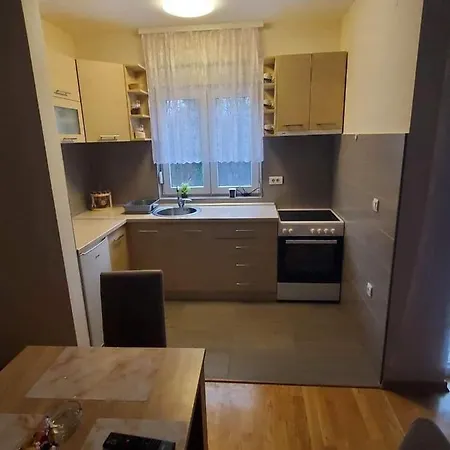 Gajic 2 * Vrnjačka Banja